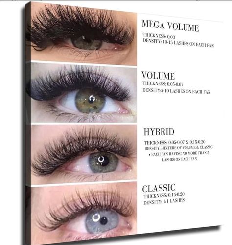 Eyelash Growth Cycle, Types Of Eyelash Extensions, Artwork For Bedroom, Lash Quotes, Bedroom Artwork, Art Canvas Painting, Eyelash Growth, Hair Up Styles, Long Lashes