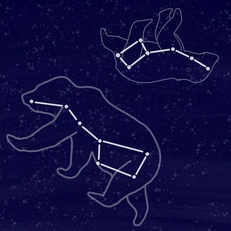 Ursa Minor Tattoo, Ursa Major Tattoo, Ursa Major Ursa Minor, Ursa Minor, Ursa Major, Bear Tattoo, I Tattoo, Zodiac Sign, Zodiac Signs