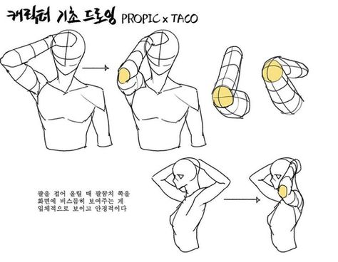 When folding the arm up, showing the elbow slightly towards the screen looks more three-dimensional and stable. Anatomy Reference Drawing, Taco Drawing, Arm Drawing, Anatomy Tutorial, Human Anatomy Drawing, Hand Drawing Reference, Reference Drawing, Body Reference Drawing, Poses References