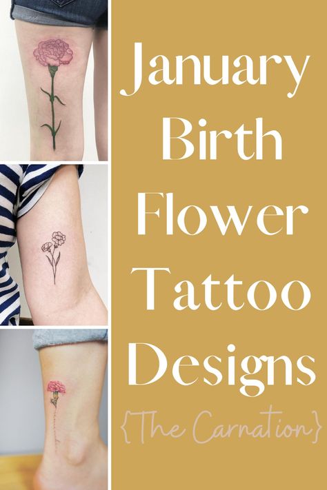 January Tattoo Ideas Births, Birth Flower Tattoo Designs, January Birth Flower Tattoo, Carnation Flower Tattoo, Name Flower Tattoo, January Flower, Zicxa Photos, January Birth Flower, Carnation Tattoo