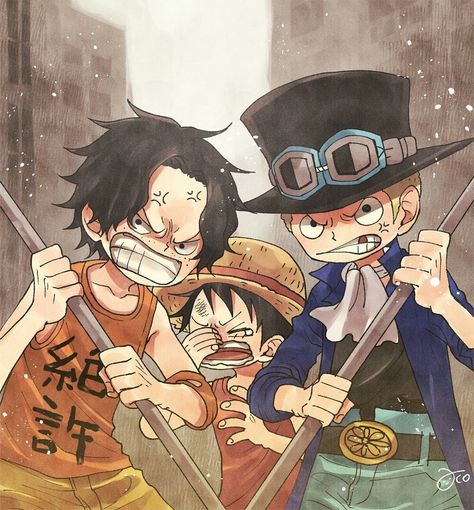 Ace One Piece, Sabo One Piece, Ace Sabo Luffy, Ace And Luffy, One Piece Ace, One Piece Ship, One Piece Funny, One Piece Drawing, One Piece Images