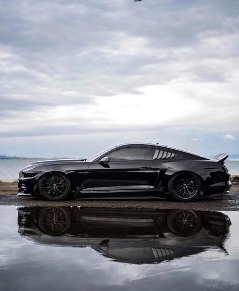 Aesthetic Cool, Ford Mustang Car, Pimped Out Cars, Car Aesthetic, Street Racing Cars, Ford Mustang Shelby, Mustang Cars, Best Luxury Cars, Ford Mustang Gt