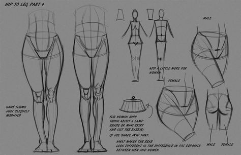 Tutorials: wanna draw something? part 1 - Imgur Leg Anatomy, Drawing Legs, Anatomy Tutorial, Human Anatomy Drawing, Human Figure Drawing, Human Drawing, Anatomy Sketches, Body Anatomy, Female Anatomy