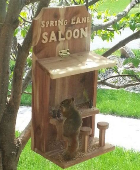 Squirrel Feeder Diy, Surf Bedroom, Squirrel Home, Squirrel Feeders, Squirrel Pictures, Squirrel Feeder, Garden Birdhouses, Carpentry Projects, Diy Bird Feeder