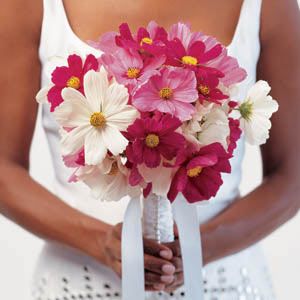 Bouquet of pink & white cosmos. Cosmo meaning: joy in love and life. Cosmos Wedding Bouquet, Cosmos Bouquet, Pink And White Weddings, Flower Girl Bouquet, Cosmos Flowers, Wildflower Bouquet, Wedding Flower Decorations, Wildflower Wedding, Wedding Flower Arrangements