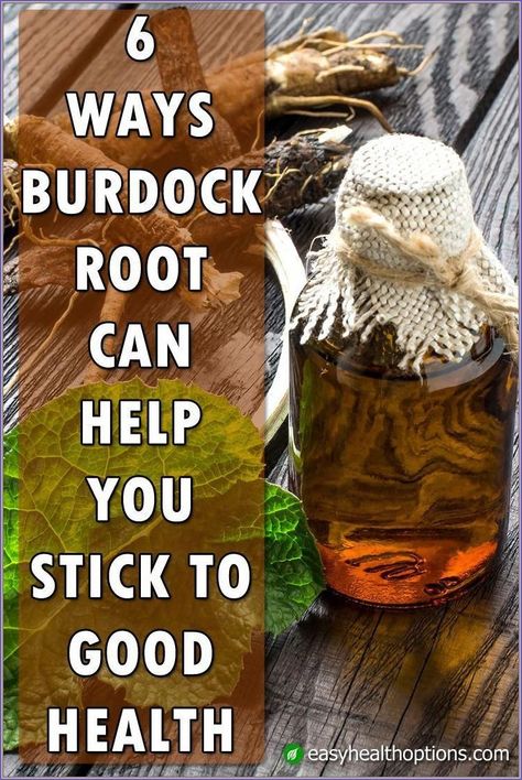 Try These Tips to lose 10 pounds ij 2 Weeks!! Burdock Root Benefits, Blood Purifier, Burdock Root, Health And Fitness Magazine, Natural Healing Remedies, Healthy Diet Tips, Herbs For Health, Daily Health Tips, Skin Diseases