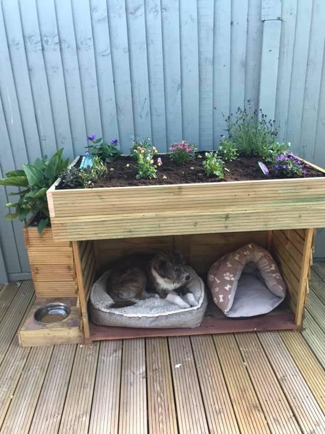 Planter Cat House, Outdoor Cat Garden Ideas, Diy Outdoor Cat Bed, Outdoor Cat Box Ideas, Cat Friendly Patio, Cats House Ideas Outdoor, Outdoor Cat Food Station, Outdoor Cat Space, Cat Garden Ideas