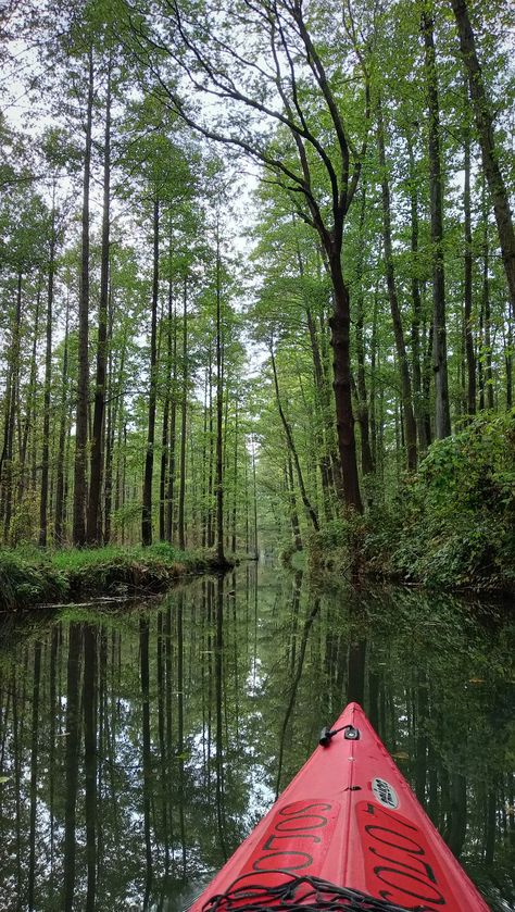 Kayak Aesthetic, Kayaking River, Kayaking Aesthetic, River Kayaking, Vision Boards, Travel Aesthetic, The River, Surfboard, Outdoor Gear