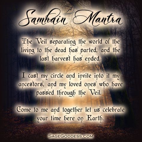 Happy Samhain, beloveds. May your ancestors visit with you tonight. Although the fields are bare, remember when they were full of life, and give thanks for the abundance they have brought. Samhain Prayer For The Dead, Samhain Mantra, Samhain Intentions, Samhain Spells Witchcraft, Samhain Chant, Samhain Spell Jar, Samhain Prayer, Samhain Spells, Wiccan Chants