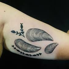 Mussel Tattoo, Sea Birds, Tattoo Ideas, Google Search, Tattoos