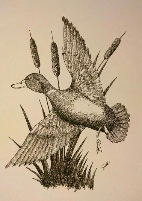 Mallard Drawing, Drake Mallard, Hunting Drawings, Fly Drawing, Duck Tattoos, Hunting Tattoos, Duck Illustration, Duck Drawing, Pyrography Patterns