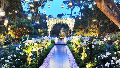 Opener Image Different Wedding Ideas, Wedding Ceremony Ideas, Garden Theme Wedding, Enchanted Forest Wedding, Garden Weddings Ceremony, Wedding Aisle Decorations, Wedding Entrance, Lesbian Wedding, Magical Wedding