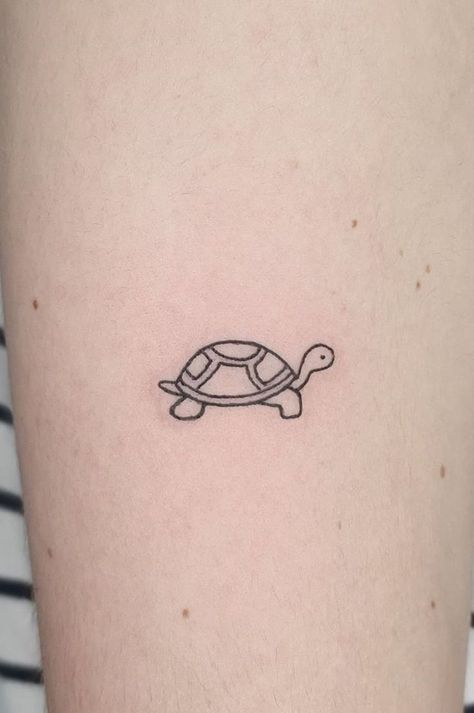 Teeny Tattoos Simple, Tiny Tattoo Turtle, Tiny Tortoise Tattoo, Tortoise Tattoo Minimalist, Tiny Turtle Tattoo Simple, Small Turtle Tattoo Minimalist, Turtle Simple Tattoo, Simple Tortoise Tattoo, Small Animal Tattoos For Women Simple