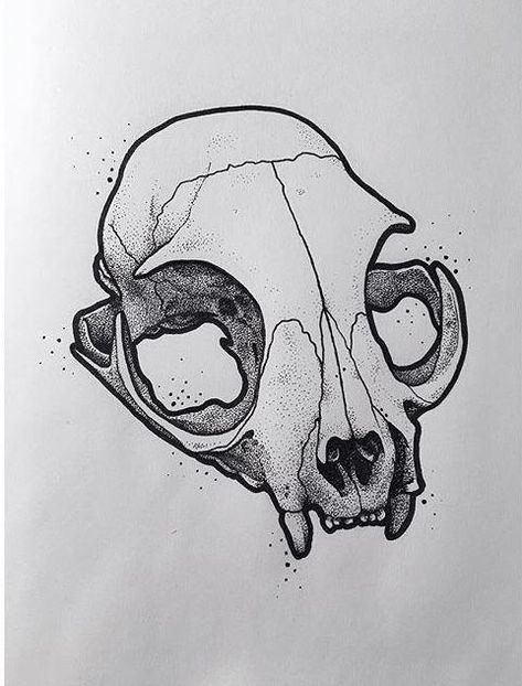 Animal Skull Drawing, Skull Reference, Skull Sketch, Yakuza Tattoo, Skulls Drawing, Cat Skull, Trendy Art, Airbrush Art, Skull Drawing