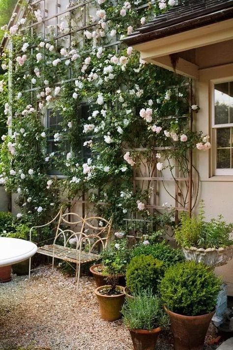 French Trellis Garden, French Country Garden Patio, Master Patio, French Country Landscaping, French Courtyard, Small Balconies, French Country Garden, Cottage Inspiration, Country Landscape