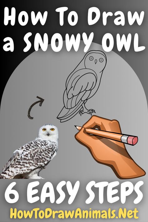 learn how to quickly and easily draw a snowy owl Owl Artwork Illustrations, Improve Your Drawing Skills, Improve Your Drawing, Owl Artwork, Easy Drawing Tutorial, Paper Pencil, Owls Drawing, Your Drawing, Drawing Tutorial Easy