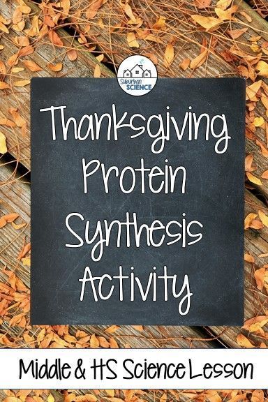 Protein Synthesis Activity, Thanksgiving Sentences, Transcription And Translation, Educational Board Games, Biology Labs, Lab Activities, Thanksgiving Words, Protein Synthesis, Secondary Science