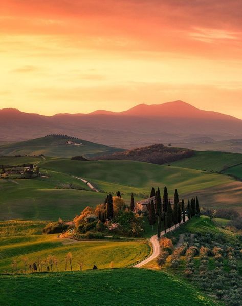 Tuscany Vineyard, Italy Countryside, Male Deer, Tuscany Travel, Medieval Town, Tuscany Italy, Beautiful Places To Visit, Most Beautiful Places, Wonderful Places