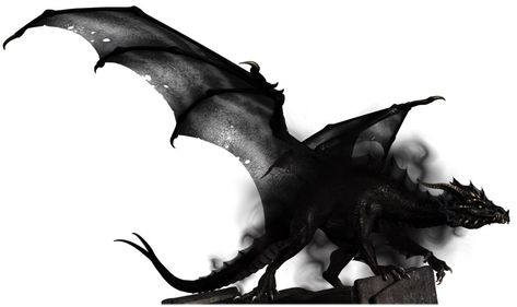 Dragon City Game, Shadow Dragon, Dragon City, Dragon Images, New Dragon, Dragon Drawing, Fantasy Dragon, Black Dragon, Monster Art