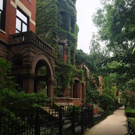 The Children of Lincoln Park Nyc Townhouse, Lincoln Park Chicago, Chicago Aesthetic, Chicago Summer, My Kind Of Town, Lincoln Park, The Windy City, Nyc Apartment, City Limits