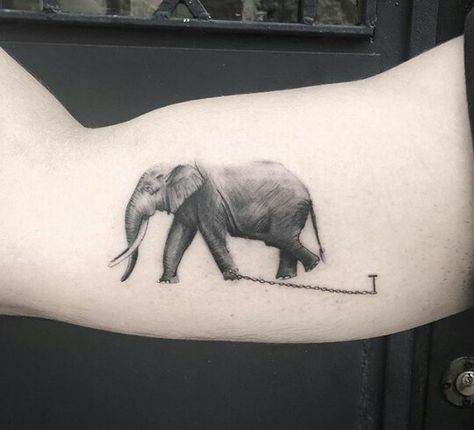 Champagne Tattoo, Realistic Elephant Tattoo, Animal Tattoo Designs, Best Couple Tattoos, Chain Tattoo, Tattoo And Piercings, Worlds Best Tattoos, Elephants Never Forget, Skeleton Hand Tattoos