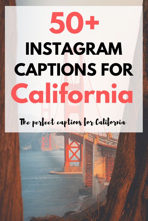 100+ California Quotes for inspiring instagram captions. These 50 quotes are motivational and will provide you with positive inspiration to visit California #quotes #quotestoliveby #quotesoftheday #quotesaboutlife California Quotes, Hollywood Quotes, California Pictures, 50 Quotes, Good Drive, Princess Cruise Ships, California Coastline, Perfect Captions, 50th Quote