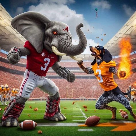 Tennessee Volunteers Football, Go Vols, Tennessee Volunteers, Tennessee, Football, Orange, American Football