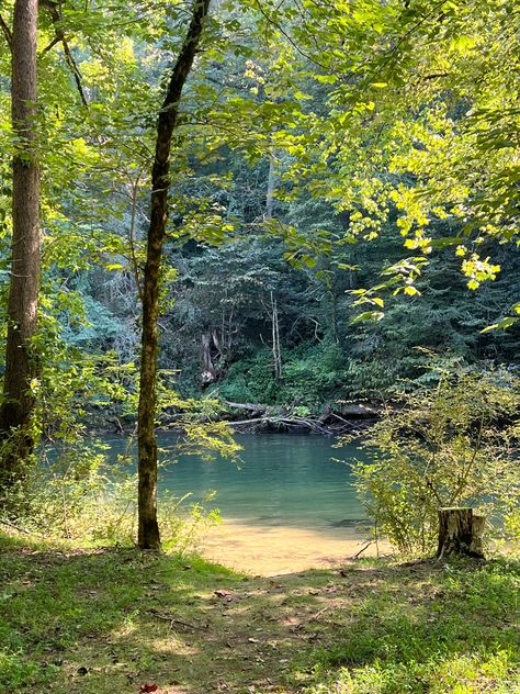 appalachia aesthetic forest woods tennessee swimming river glowing magical blue water trees late summer afternoon live photo venue Tennessee Appalachia, Applachia Aesthetic, Summer Woods Aesthetic, Fall In Appalachia, Tennessee Scenery, Appalachian Forest, Summer In The South, River Swimming Aesthetic, In The Woods Aesthetic