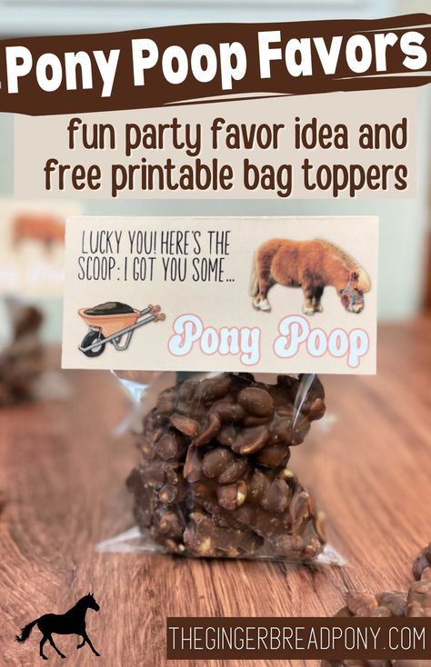 Looking for a fun and easy party favor for your horse themed party? Check out these hilarious pony poop favors! Use our printable bag toppers for the perfect finishing touch! They would make funny favors or party snacks. Head to our blog post and get the free file. #pony #horse #party #diy #printable #thegingerbreadpony Adopt A Pony Party Favor, Horse Birthday Party Favors, Horse Cake Pops, Poop Party, Diy Kids Party Favors, Party Favor Bags Diy, Horse Party Favors, Horse Themed Party, Theme Snack