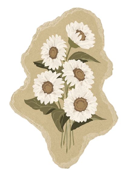 Cute Halloween Coloring Pages, Paper Transparent, Logos Vintage, White Sunflower, Vintage Logos, Scrapbook Printing, White Sunflowers, Sunflower Png, Brown Wedding