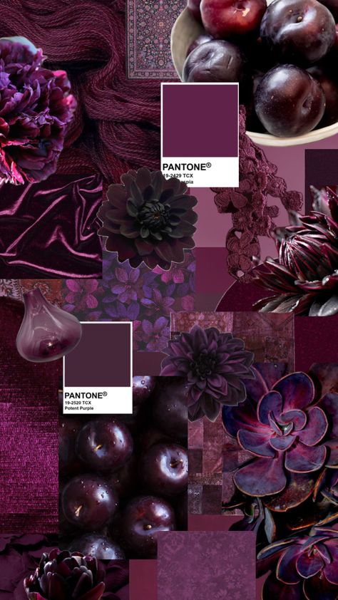 Plum Color Palette, Deep Winter Colors, Color Knowledge, Mulberry Color, Pantone Colour Palettes, Purple Color Palettes, Color Collage, Deep Winter, Dark Winter