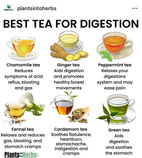 Digestion Tea, Get Rid Of Inflammation, Tea For Digestion, Fennel Tea, Stomach Cramps, Holistic Diet, Herbal Tea Blends, Peppermint Tea, Stomach Ache