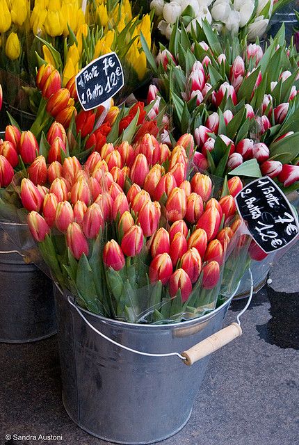 Flower market, Paris | Flickr - Photo Sharing! Market Photo, Photo Paris, Flowers For Sale, Flower Shops, Spring Bulbs, Tulips Flowers, Flower Market, Beautiful Blooms, Buckets