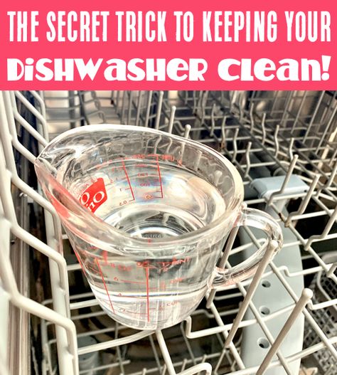 How To Wash Dishwasher, How To Clean My Dishwasher, How To Clean A Smelly Dishwasher, How To Clean Your Dishwasher Diy, Smelly Dishwasher Cleaning, How To Clean The Inside Of A Dishwasher, How To Sanitize Dishwasher, How To Get Smell Out Of Dishwasher, Cleaning Dishwasher Deep