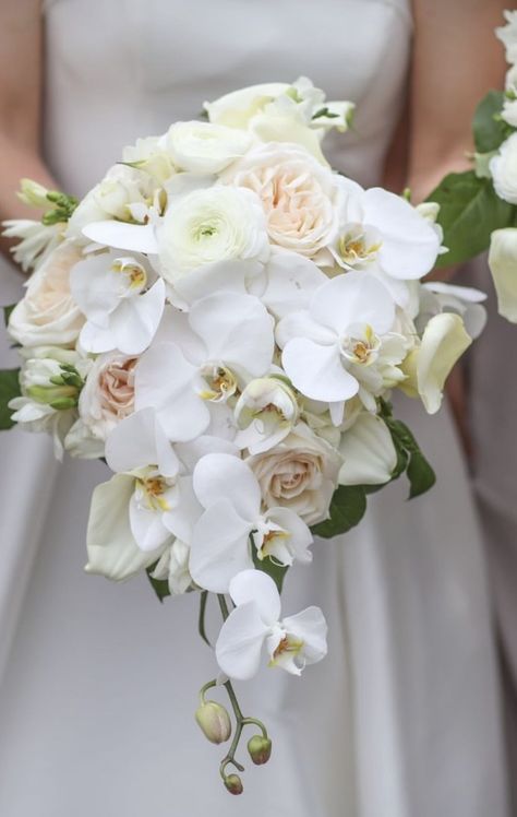 Bridal Orchid Bouquet, Single Orchid Bouquet, Wedding Bouquets With Orchids, White Orchid Bridal Bouquet, Bridal Bouquet Cascading, Carnation Bridal Bouquet, Jasper Wedding, Wedding Bouquets Spring, White Orchid Bouquet