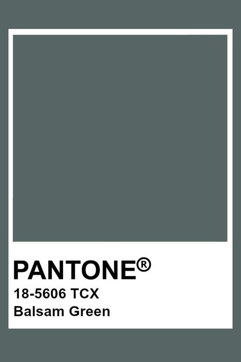 Silver Pantone, Rf Logo, Pantone Tcx, Pantone Green, Pantone Color Chart, Pantone Swatches, Pantone Palette, Pantone Colour Palettes, Color Chip