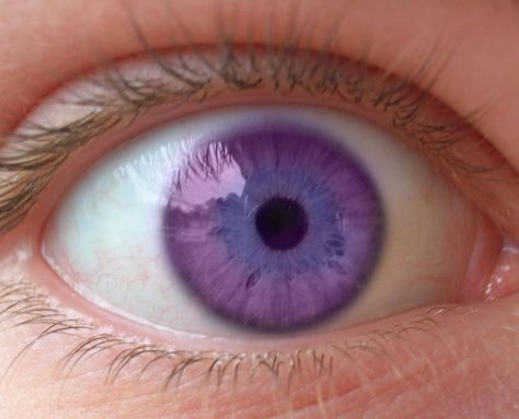 1000+ ideas about Violet Eyes on Pinterest | Eyes, Rare Eye Colors ... Alexandria Genesis, Lilac Eye, Rare Eyes, Beautiful Eyes Color, Violet Eyes, Eye Photography, Aesthetic Eyes, Human Eye, Gorgeous Eyes