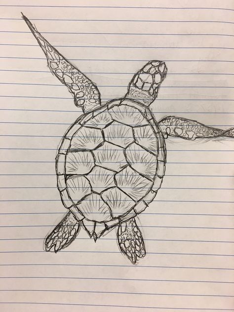 Turtle Sketch Aesthetic Turtle Drawing, Turtle Pencil Drawing, Realistic Turtle Drawing, Turtle Drawing Realistic, Sketch Turtle, Beachy Drawings, Turtle Sketch, Sea Turtle Drawing, Minimal Tattoo Designs