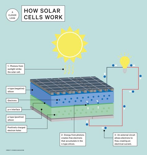 In 2015, around half a million solar panels were installed daily around the world. Andrew Stapleton explains how those flat, bluish surfaces convert the sun's rays to electrical power. Solar Roof Tiles, Solar Cells, Solar Power Panels, Monocrystalline Solar Panels, Solar Energy Panels, Solar Roof, Best Solar Panels, Photovoltaic Panels, Solar Projects