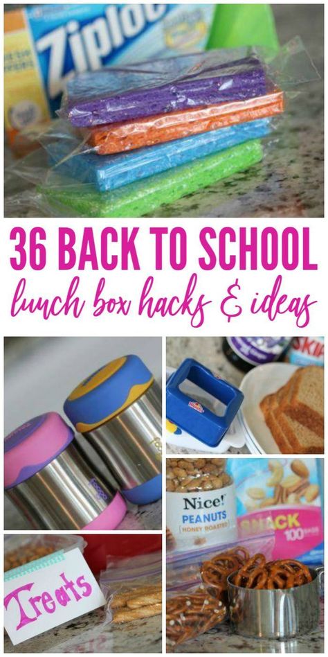 Grab And Go School Lunch Ideas, Meal Prep School Lunch For Kids, Kids School Lunch Ideas Bento, Lunch Box Ideas For Kids Kindergartens, Easy Lunch Box Ideas For Kids, School Snacks For Kindergarten, Lunch Box Ideas For Kids School, Kids Lunchbox Ideas For School, Picky Kids Lunch Ideas For School