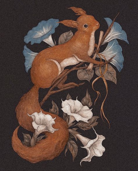 Jessica Roux Art, Vintage Animal Painting, Fox Illustration Vintage, Red Squirrel Illustration, Vintage Fox Illustration, Vintage Animal Illustration, Vintage Animal Art, Squirrel Illustration, Vintage Animals