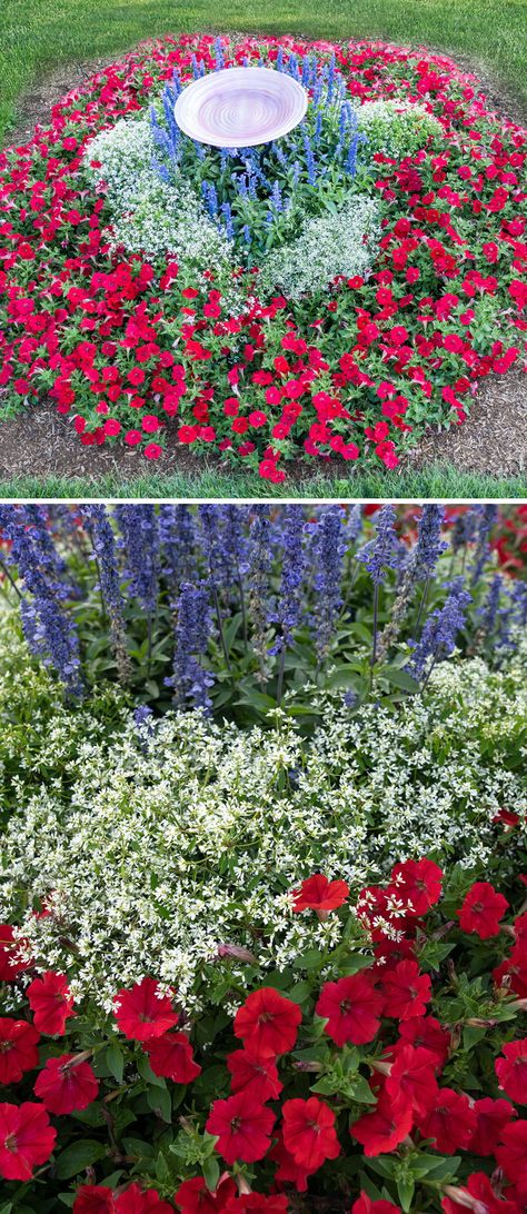 Display your patriotism this summer with an easy DIY red, white and blue garden! This circular garden plan also works perfectly planted around a flagpole! Plant Supertunia 'Really Red' petunias and Diamond Snow euphorbia in concentric rings around the taller Unplugged 'So Blue' salvia. Find complete plans including a diagram, shopping list, plant information and layout in our Patriotic Garden Recipe. Flag Pole Landscaping, Red Petunias, Recipe Display, Easy Garden Ideas Landscaping, Circular Garden, Blue Salvia, Backyard Fence Decor, Patriotic Garden, Blue Flowers Garden