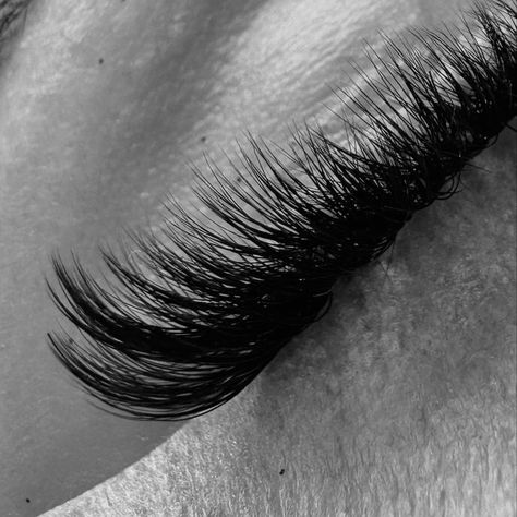 Lash Illustration, Eye Lash Photography, Becoming An Esthetician, Eyelash Studio, Lash Design, Hair Salon Marketing, Glam Studio, Lash Lounge, Esthetician Marketing