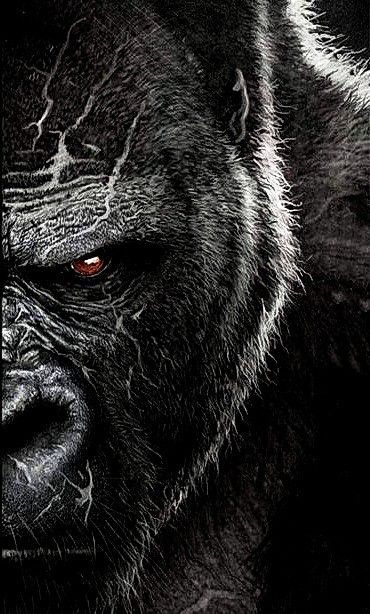 Pin by Dani Rsilva on Imagens|× in 2022 | Gorilla tattoo, Gorilla wallpaper, Gorillas art Loner Tatoos Men, Silverback Gorilla Tattoo, Gorilla Aesthetic, Aesthetic Monkey, Gorilla Wallpaper, Gorilla Ink, Tier Tattoo, King Kong Art, Gorillas Art