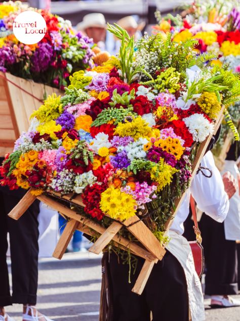 Colombian Flowers, Medellin Flower Festival, Colombia Flowers, Meet The Robinson, Colombian Art, Flower Festival, Flower Farmer, Walt Disney Animation Studios, Wonderful Flowers