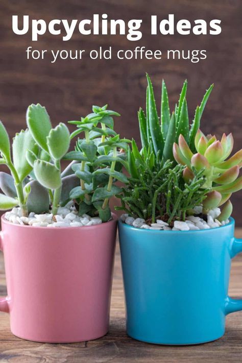 plants in old coffee mugs with small stones Coffee Mugs Diy, Coffe Mug Cake, Coffee Cup Crafts, Coffee Mug Crafts, Mugs Diy, Gift Wrapping Station, Homemaking Tips, Earth Day Crafts, Mug Crafts