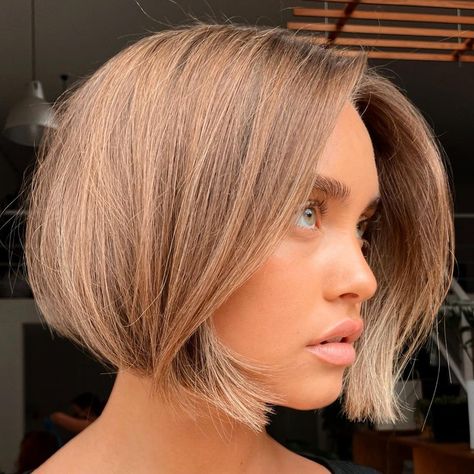 50 Best Bob Haircuts and Bob Hairstyles for 2023 - Hair Adviser Bubble Bob, Sleek Bob Hairstyles, Chin Length Haircuts, Trendy Bob Hairstyles, Best Bob Haircuts, Chin Length Hair, Choppy Bob, Silver Blonde, Sleek Bob