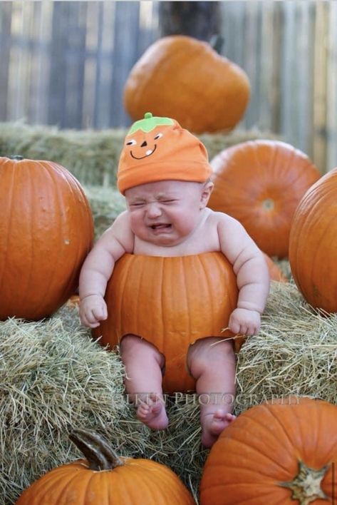 Halloween Baby Pictures, Halloween Baby Photos, Fall Baby Photos, Baby Holiday Photos, Fall Baby Pictures, Baby Milestones Pictures, Baby Halloween Outfits, Pumpkin Pictures