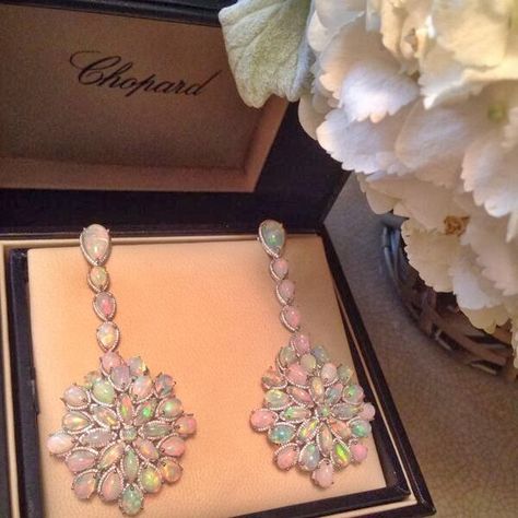 Chopard Chopard Earrings, Oscar Jewelry, Blue Jasmine, Chopard Jewelry, Celebrity Jewelry, Cate Blanchett, Opal Earrings, Gorgeous Jewelry, Dream Jewelry