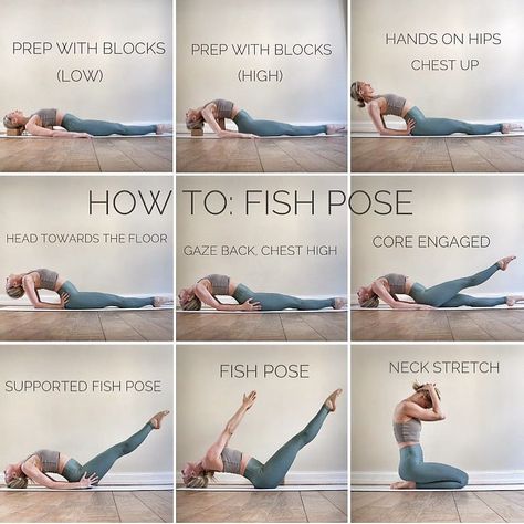 Yoga Alignment Tips&Tutorials on Instagram: “📷 @ania_75 Having trouble getting into Fish Pose? These variations and modifications will make this pose much more accessible so you can…” Fish Pose Yoga, Hard Yoga, Fish Pose, Body Transformations, Yoga Tutorial, Body Stretches, Body Stretch, Yoga Body, Chakra Yoga